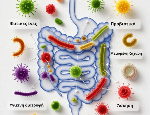 Εντερικό μικροβίωμα: πώς επανέρχεται η ισορροπία μετά τις γιορτές